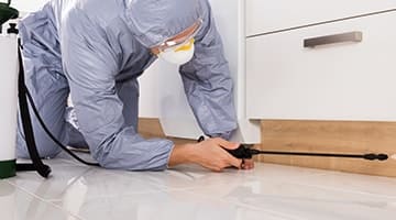 Dedetizadora na Vila Gaúcha