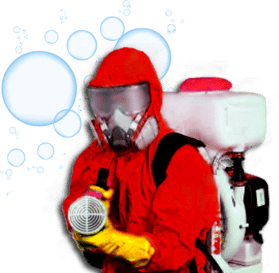 Dedetizadora na Vila Gaúcha